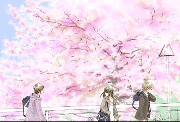 51免费版在线看免费网站